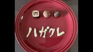ねこーんハガクレライブ