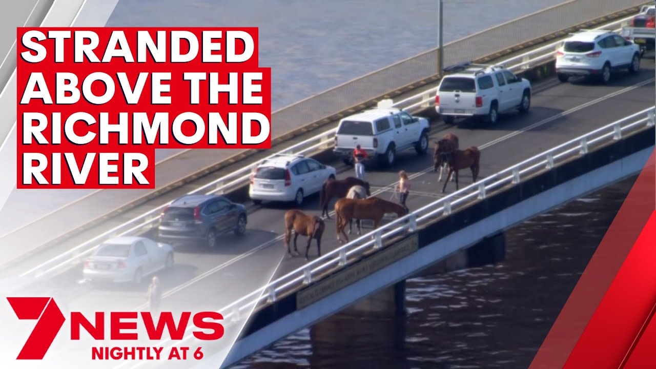 Stranded people and horses wait on the Court Street bridge at Woodburn as floodwaters rise | 7NEWS