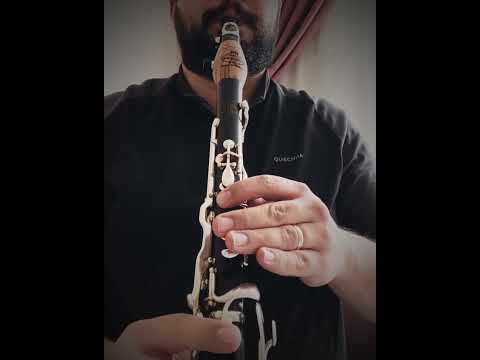 Hüzzam klarnet taksim - Emre Ersöz