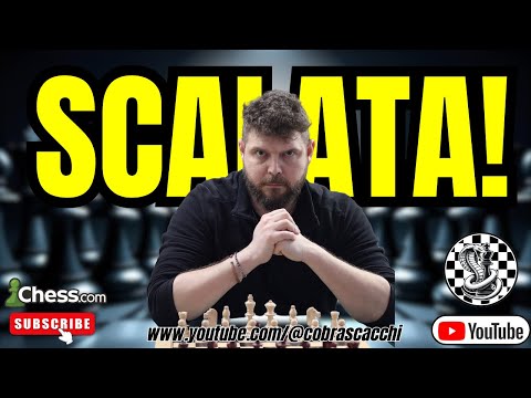 SCALATA ELO! 🐍♟ Il Cobra torna all’attacco — Live Scacchi in Diretta!