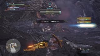 ガンランスでネルギガンテ：２分５８秒