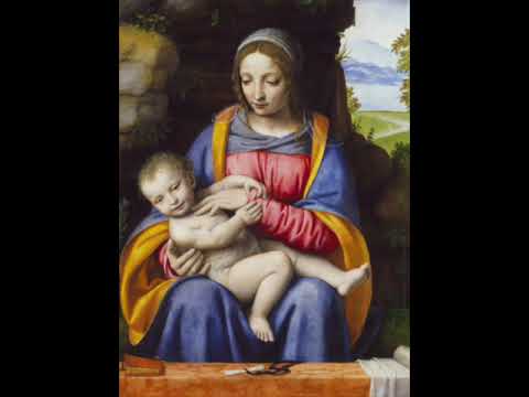 Tribute to Bernardino Luini