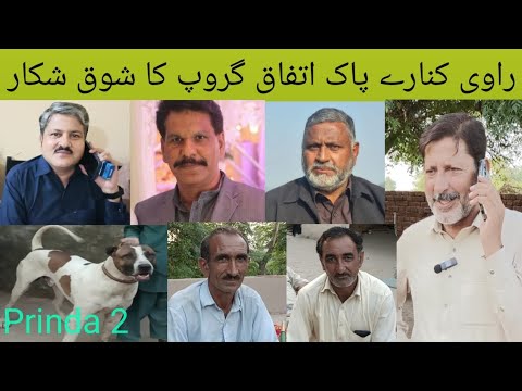 Top Class Bully Breed Dog Name Prinda 2 Owner Mehar Sitar Master M Ali Wattu Pak Itefaq Group#dog