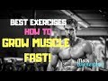Best Exercises How to Build Muscle Fast!