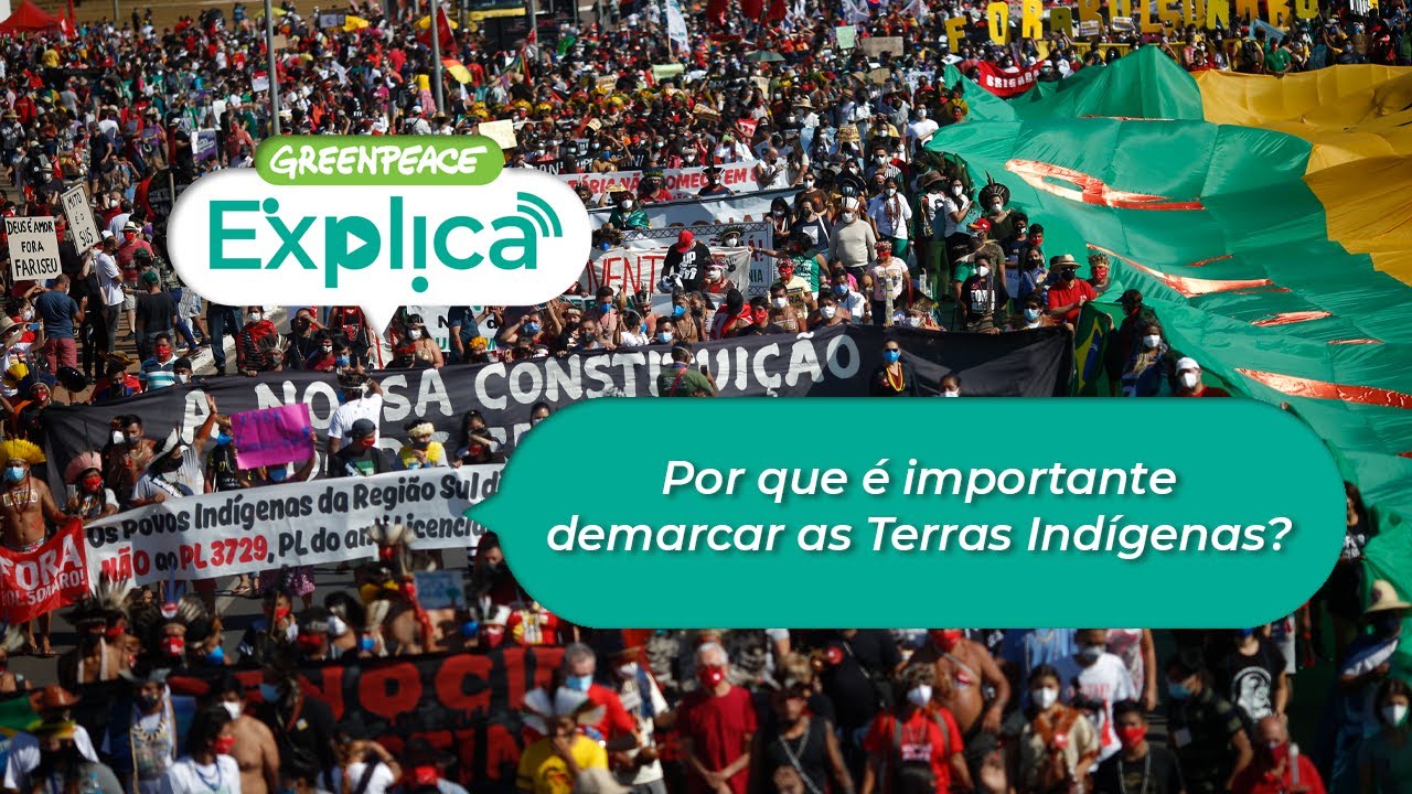 Por que é importante demarcar as Terras Indígenas? - Greenpeace Explica