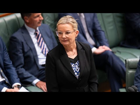 ‘Let the cat out the bag’: Sussan Ley hints at tax changes