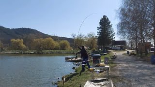 Shimano beastmaster dx feeder 13