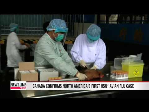 Canada confirms North America's first H5N1 avian flu case