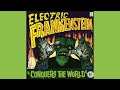 ELECTRIC FRANKENSTEIN - Face At The Edge Of The Crowd