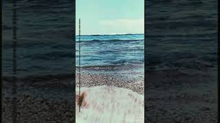 Download lagu Aku seng berjuang arek kae seng nyanyang. Story WA mp3