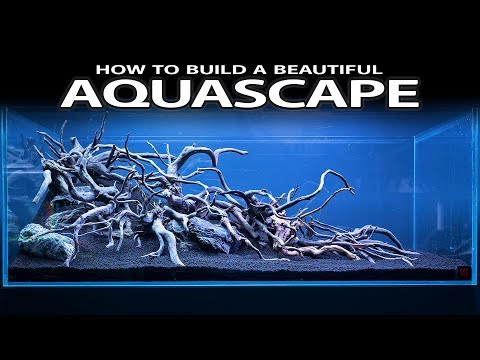 HOW TO BUILD A BEAUTIFUL AQUASCAPE EASILY - INSPIRATION, HARDSCAPE, LAYOUT