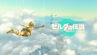 伝説は繰り返される【ゼルダの伝説 ティアーズ オブ ザ キングダム】#1