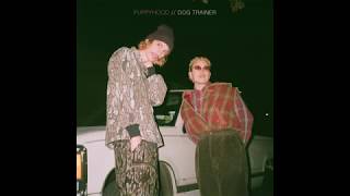 Dog Trainer - The End