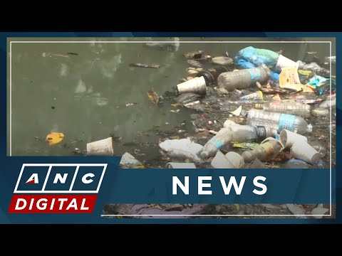 DENR Chief calls on manufacturers to ramp up efforts in reducing plastic waste | ANC