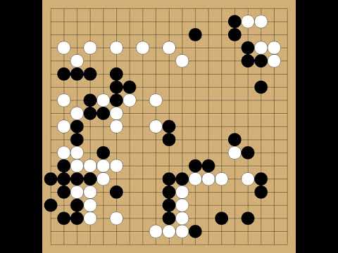 Cho Chikun(9p) vs Fujisawa Shuko(9p) - 16th Kakusei - round 2 - 1993-08-12 - komi: 5.5