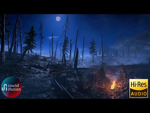 Your Sleeping In A WW1 Trench At Night