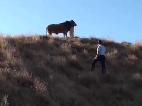 ÖNDER KAÇ! ÖNDER YAVAŞ!
