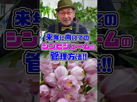 園芸 シンビジウムに関するよくある質問