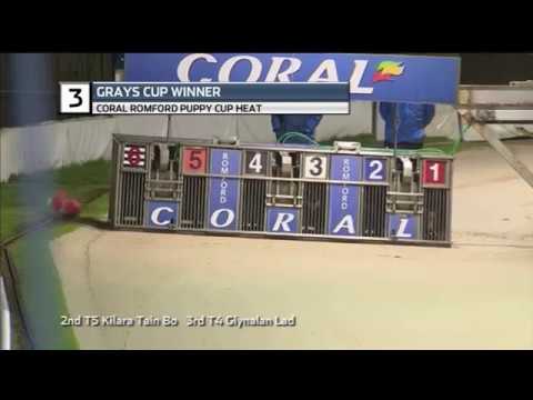 2018 ROMFORD PUPPY CUP - HEAT 6 - T3 GRAYS CUP WINNER