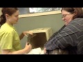 Psycho Gray Tabby Cat Beats Up Vet