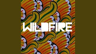 Wildfire (OVO Remix)