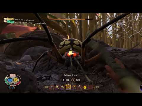 2gdvdbjqptru898vgs65 / Grounded / Early Game / Hunting Spider / Medium / T1 Weapon(Spear) / No armor