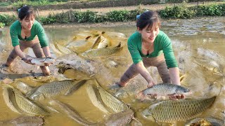 Farm life: Drain the pond to catch fish to sell in the Cold Winter | Build farm