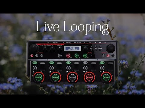 Basics of Live Looping Tutorial - Vocals - Boss RC-505 or any other device