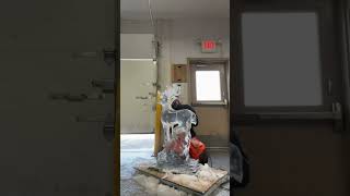 Ice Carving- Santa’s Deer