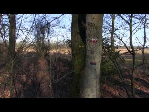 Pieterpad etappe 4 Zuid Laren - Rolde