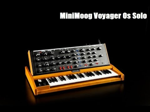 Seriously Considering a MiniMoog Model D