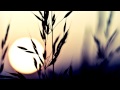Schiller - Energy (with Tim Brownlow) 