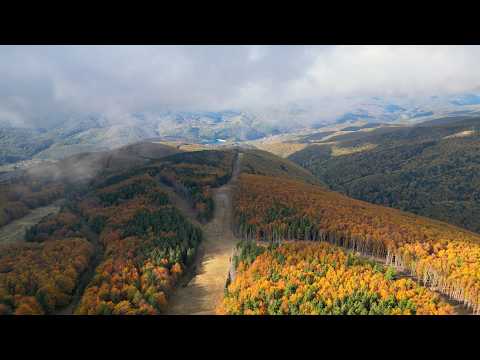 Wild Romania: Aerial Journey over Semenic National Park, Lake Văliug & Gărâna Village | 4k Drone