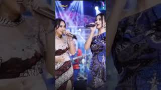 Download lagu MANUK DADALI - ADELLA GIRLS - OM ADELLA #adellagirls #shorts mp3