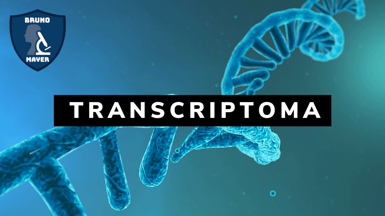 Transcriptoma e RNA-Seq