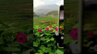 Download lagu Desaku!!!hamparan sawah dikaki gunung mp3