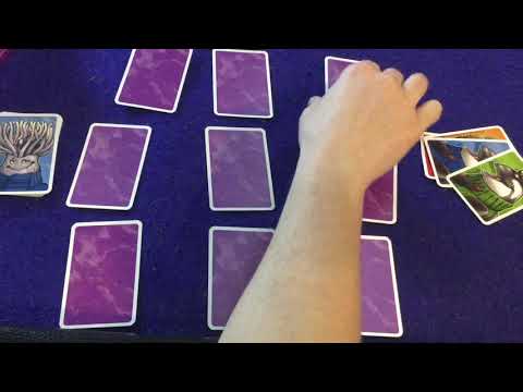 Bower Plays: Brainwaves: The Wise Whale Solo