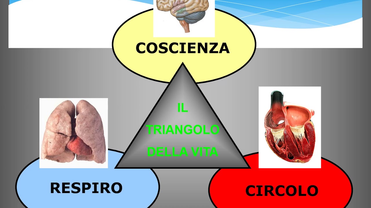 PRIMO SOCCORSO PARTE 1