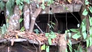 Boards of Canada - Come To Dust