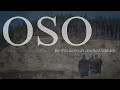 Oso: Life After America's Deadliest Landslide