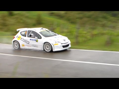 Rally Circuito di Cremona 2014