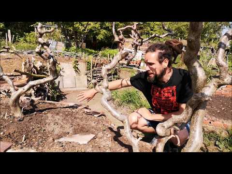 Permakultur 2019: Schöpferkraft Reise – Episoden 89-100