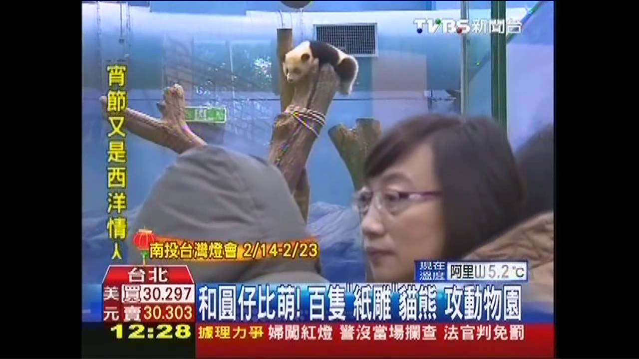 和圓仔比萌！百隻「紙雕」貓熊　攻動物園