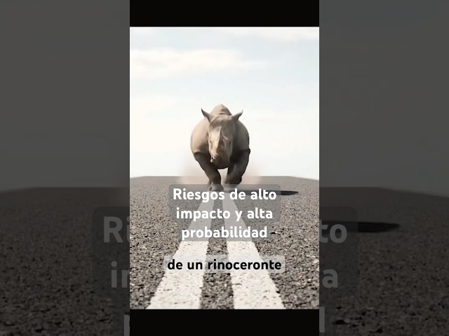 ¿Cómo no procrastinar los riesgos más importantes? El Rinoceronte Gris Michele Wucker