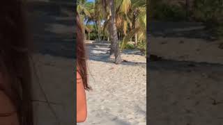 Download lagu Hot@Celine Farach😍 || #trendingreels #reelitfeelit #reelsinstagram mp3