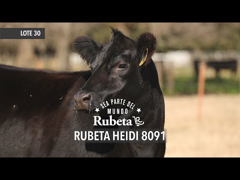 RUBETA HEIDI 8091 - LOTE 30