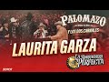 Palomazo Norteno