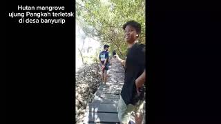 Download lagu Vlog mangrove ujung pangkah mp3