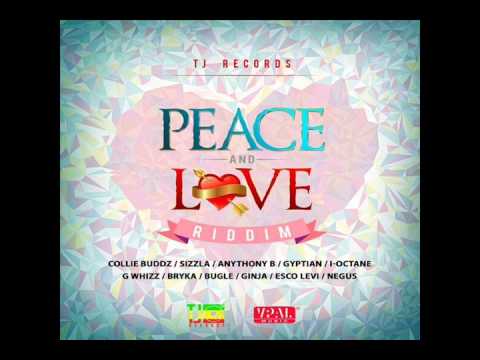 Peace And Love Riddim 2014 mix (Dj CashMoney) [TJ RECORDS]