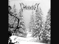 Vinterriket -Seelenleere 